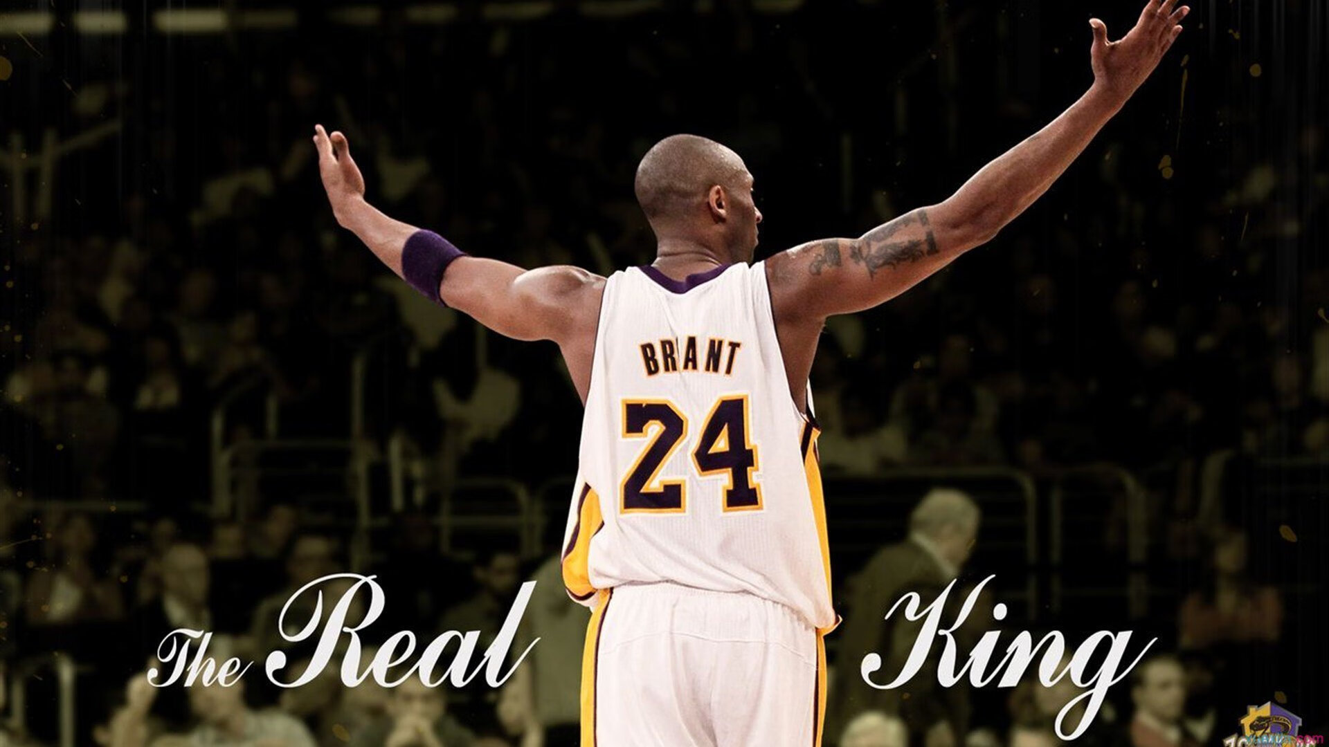 乐鱼足球官网-德约再度封王，霸气得不像话，德约出道